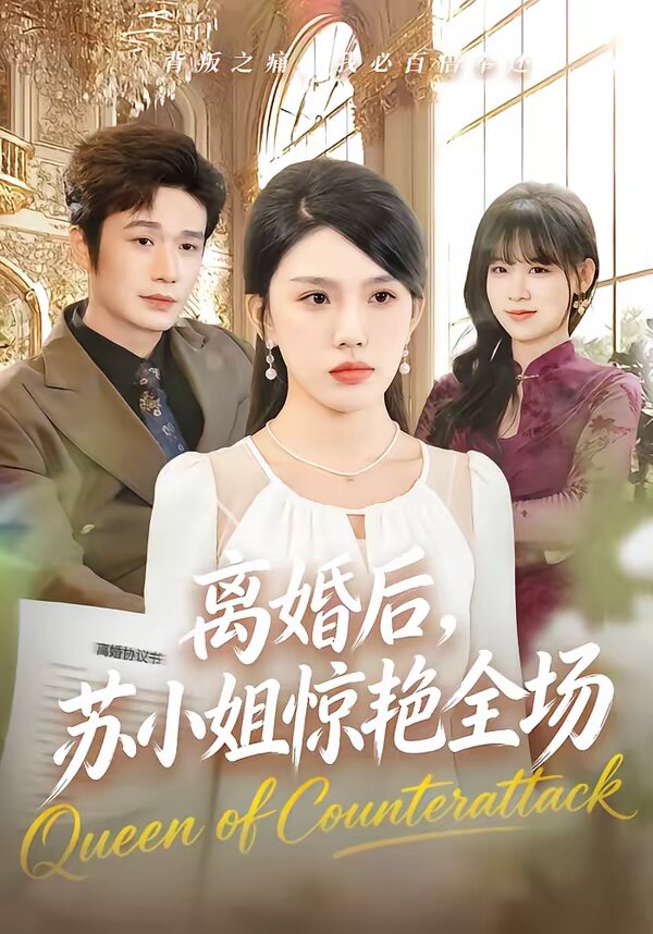 离婚后,苏小姐惊艳全场海报