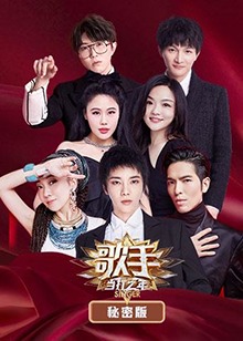 歌手当打之年 秘密版海报