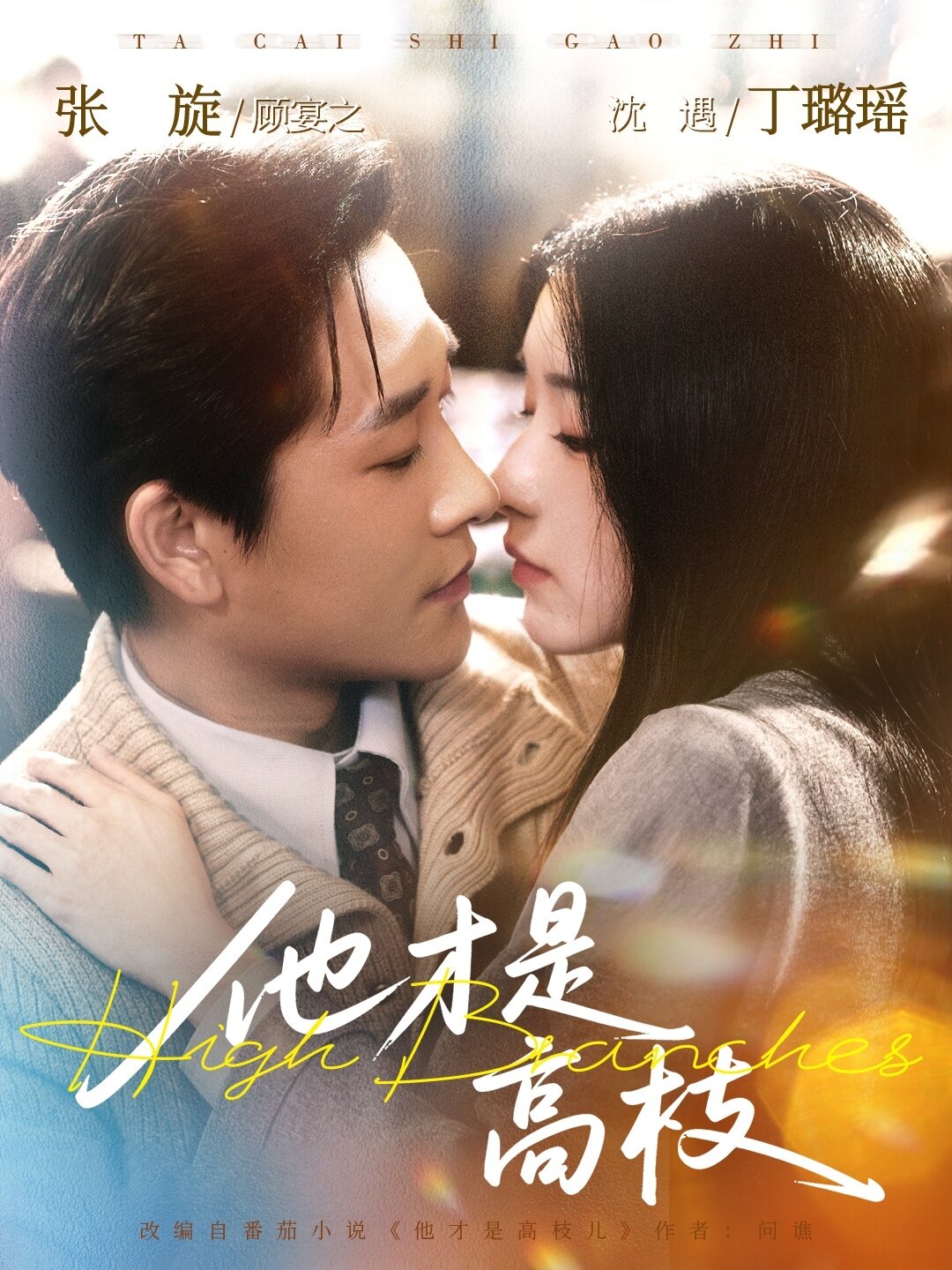 他才是高枝海报