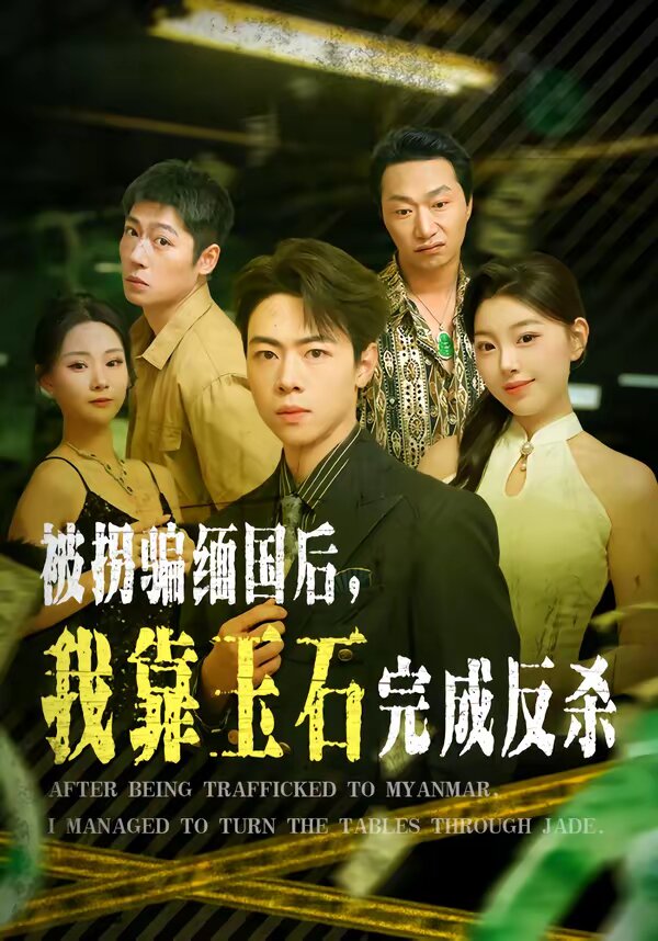 被拐骗缅国后,我靠玉石完成反杀海报