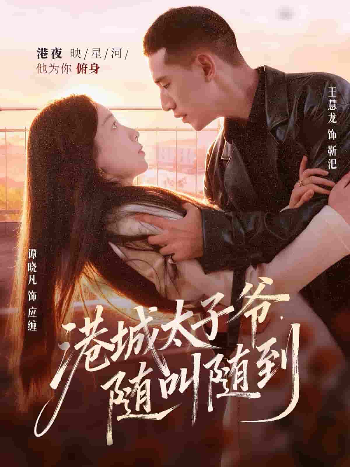 港城太子爷,随叫随到海报