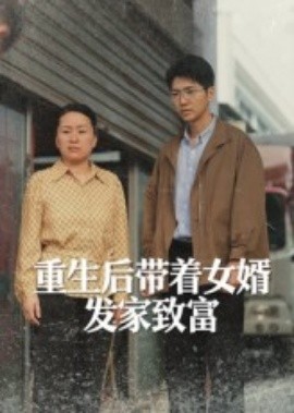 重生后带着女婿发家致富海报