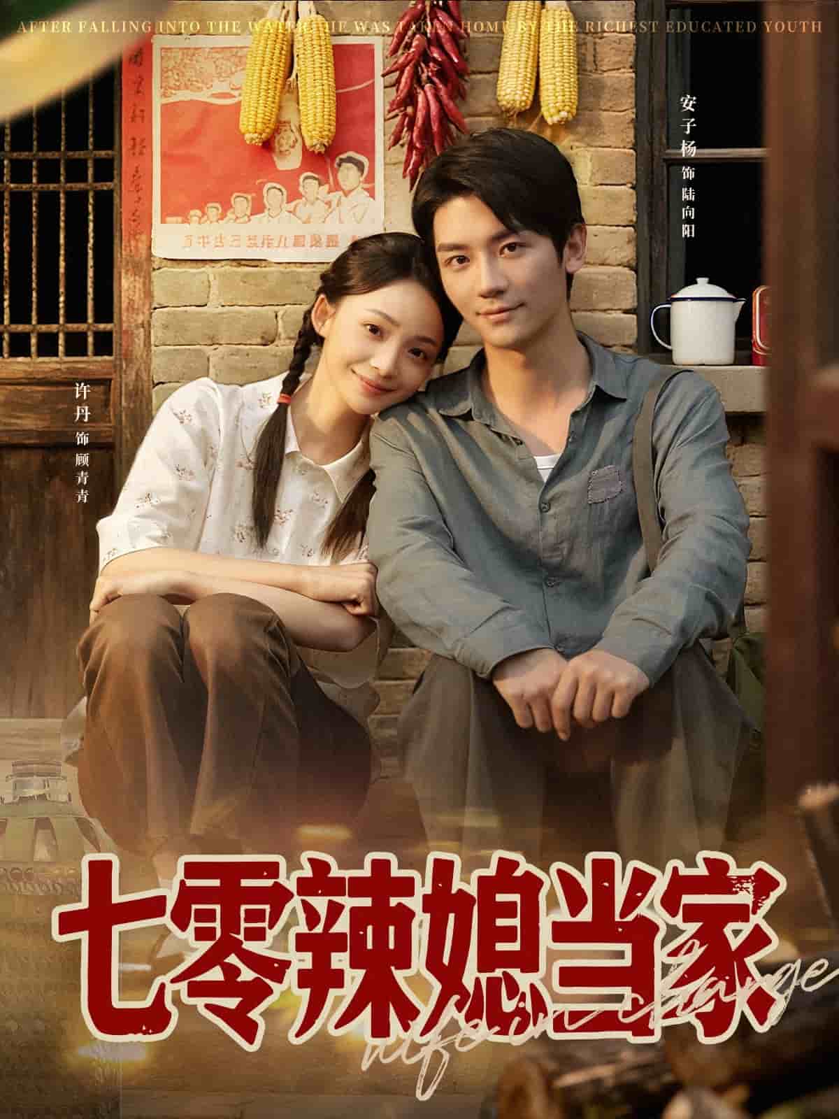 七零辣媳当家海报