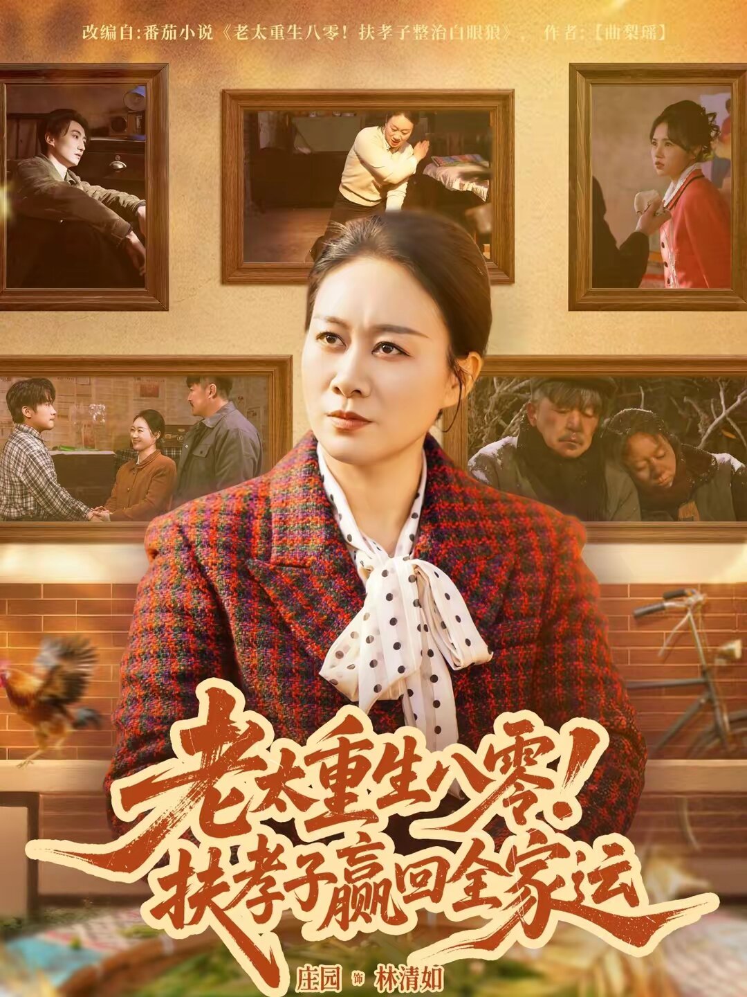 老太重生八零!扶孝子赢回全家运海报