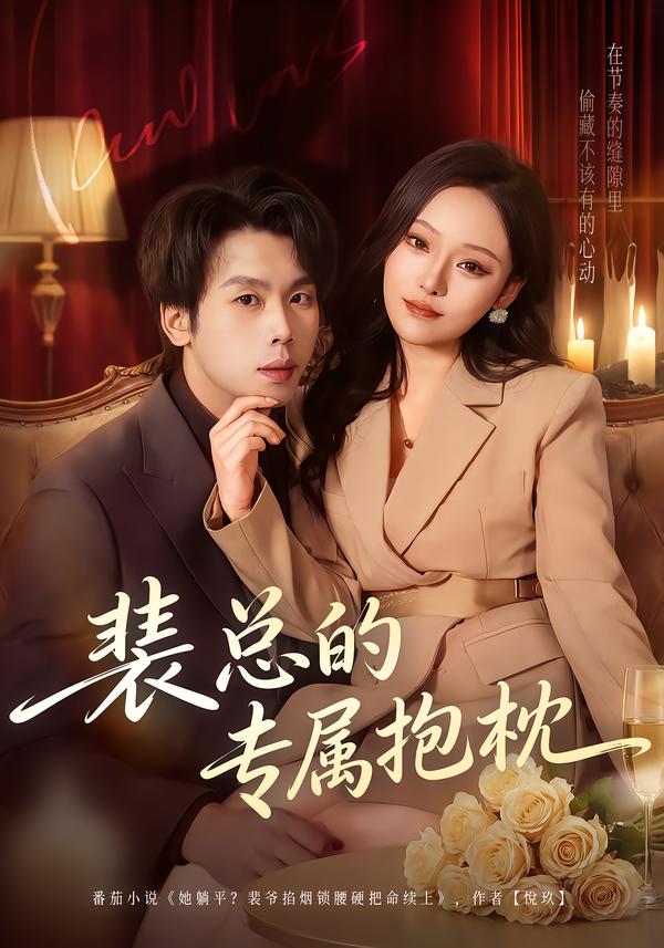 裴总的专属抱枕海报