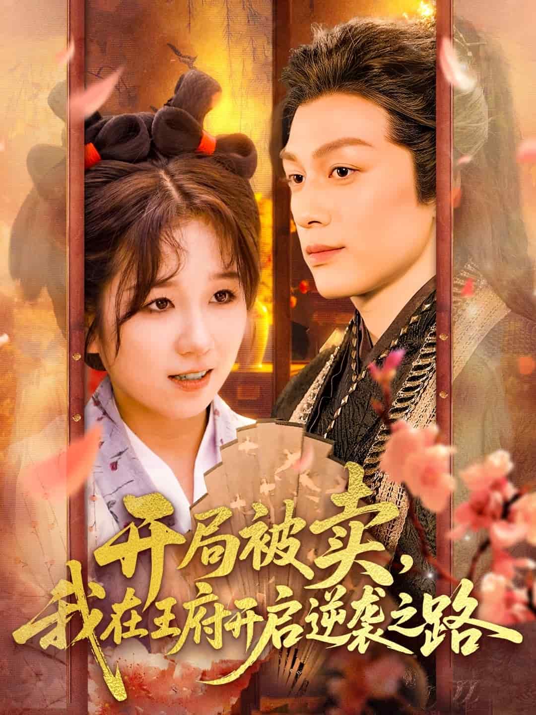 开局被卖我在王府开启逆袭之路海报
