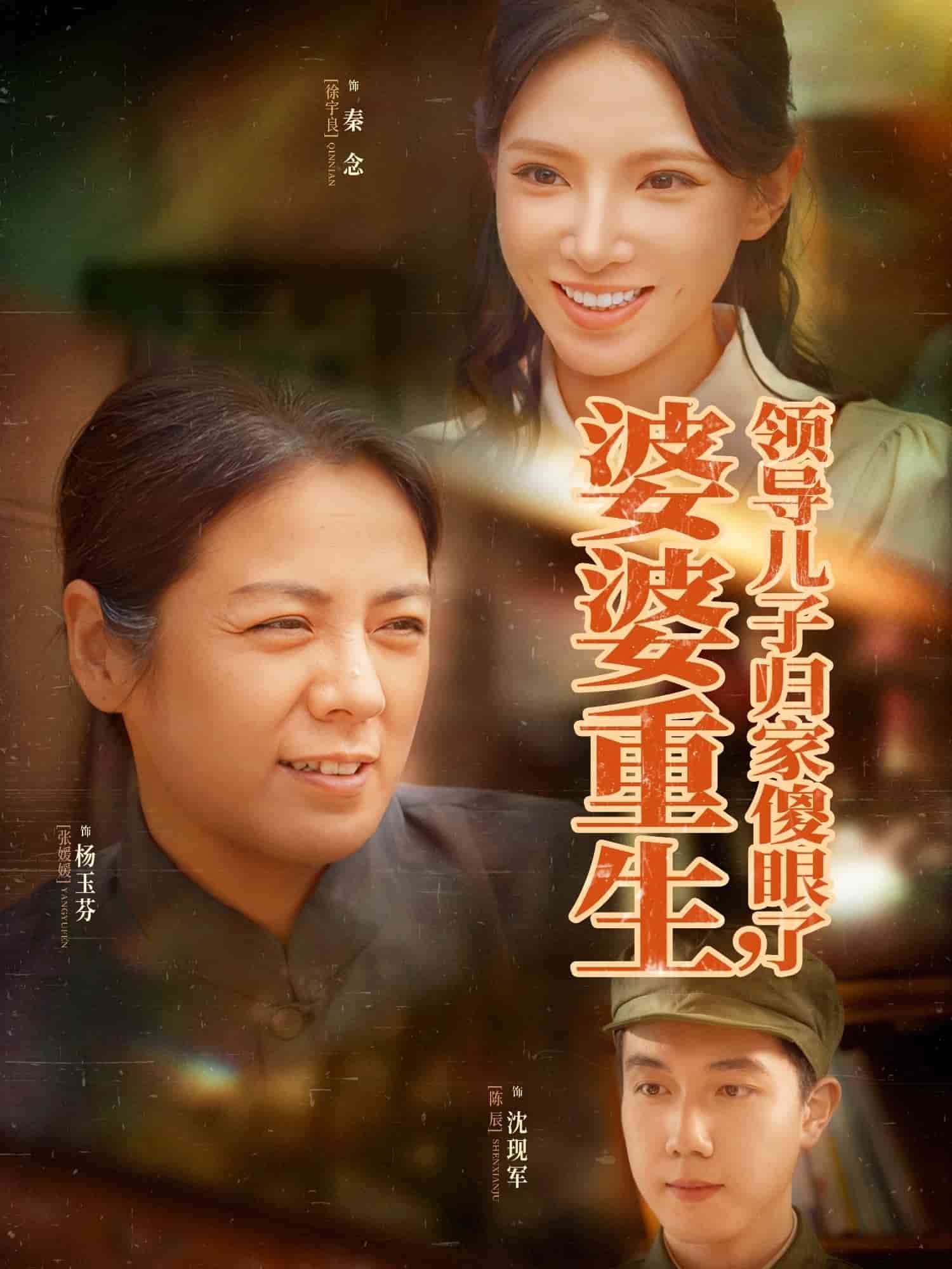 婆婆重生领导儿子归家傻眼了海报