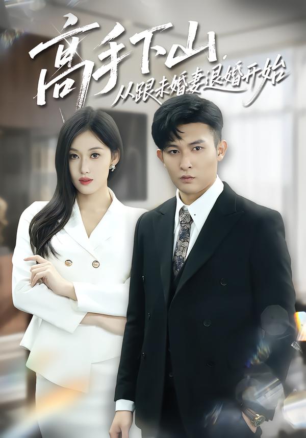 高手下山,从跟未婚妻退婚开始海报
