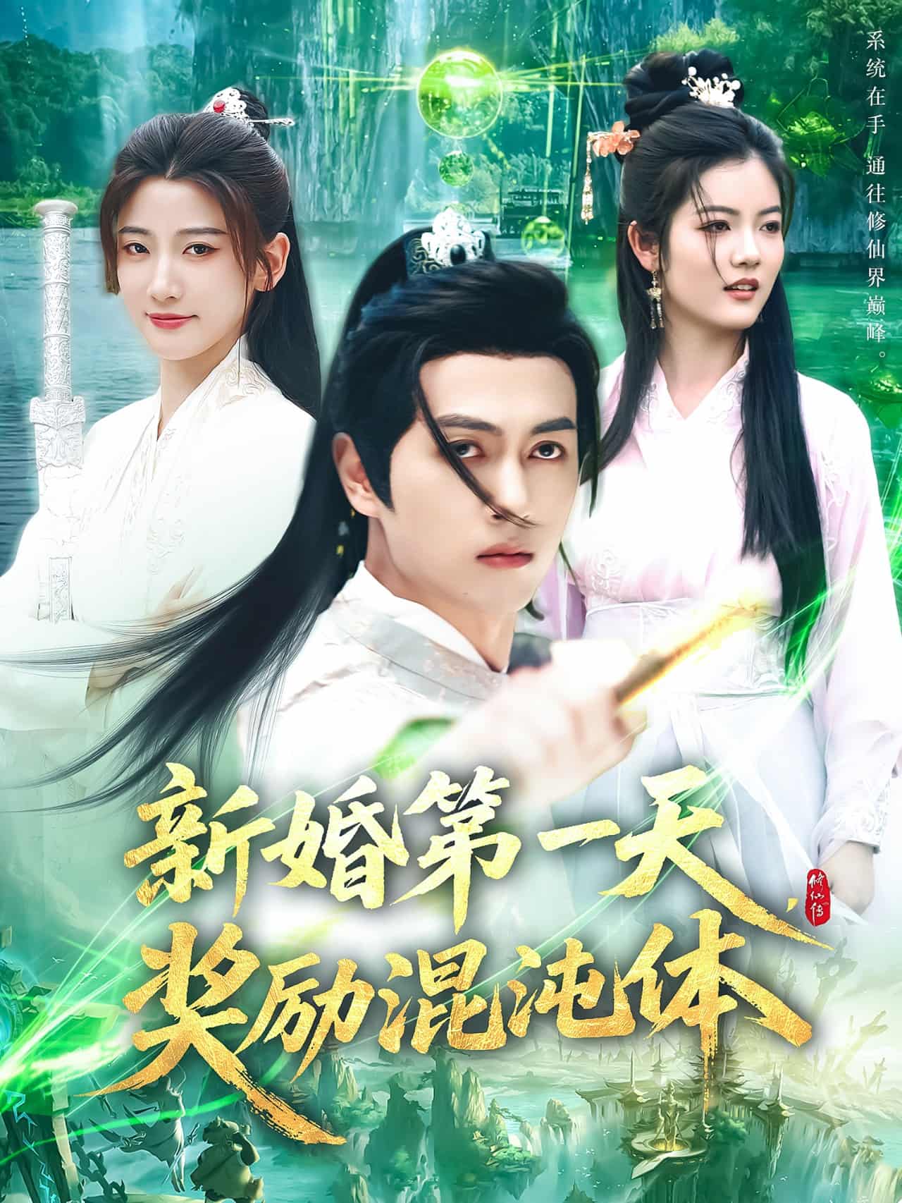 新婚第一天,奖励混沌体海报