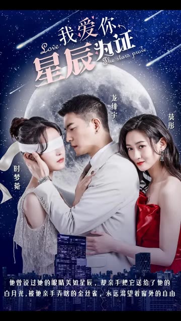 我爱你,星辰为证海报