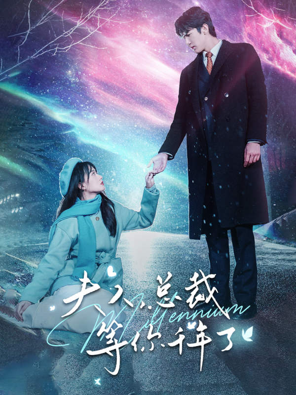 夫人,总裁等你千年了海报