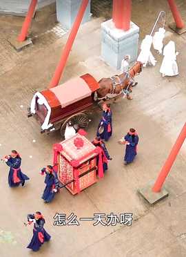 新:王妃她又美又飒103集海报