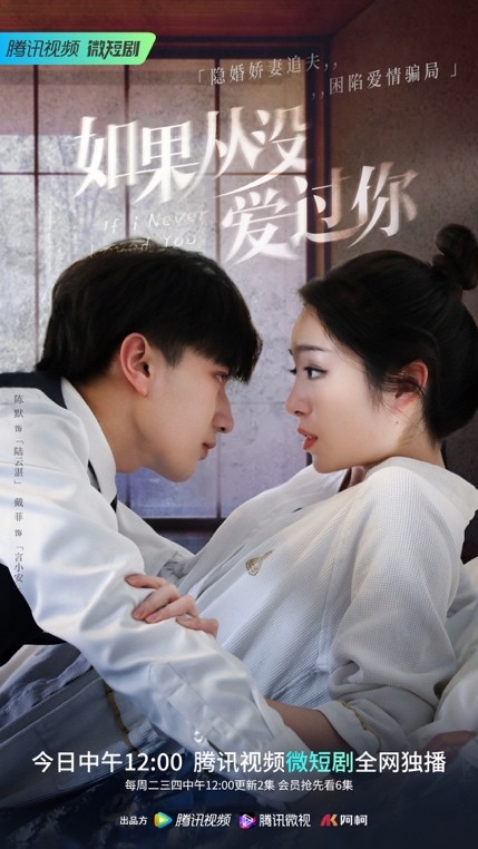 如果我没爱过他海报