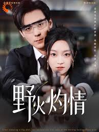 野火灼情海报
