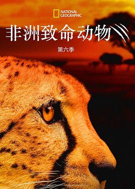 非洲致命动物第六季海报