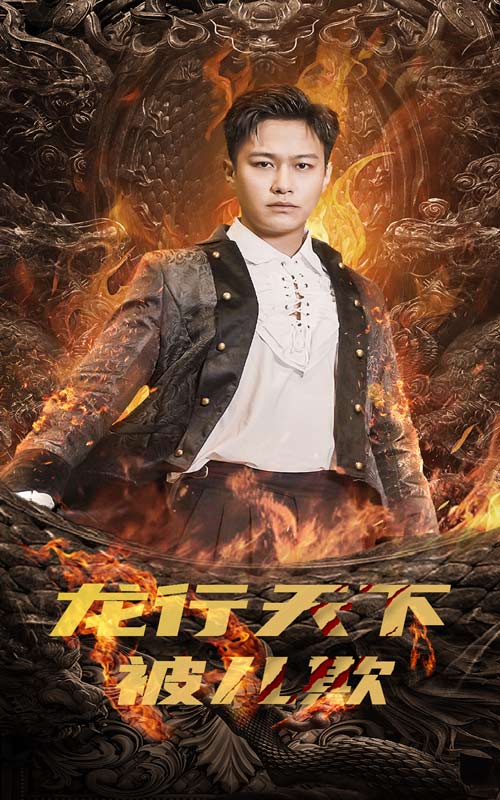 龙行天下被儿欺海报