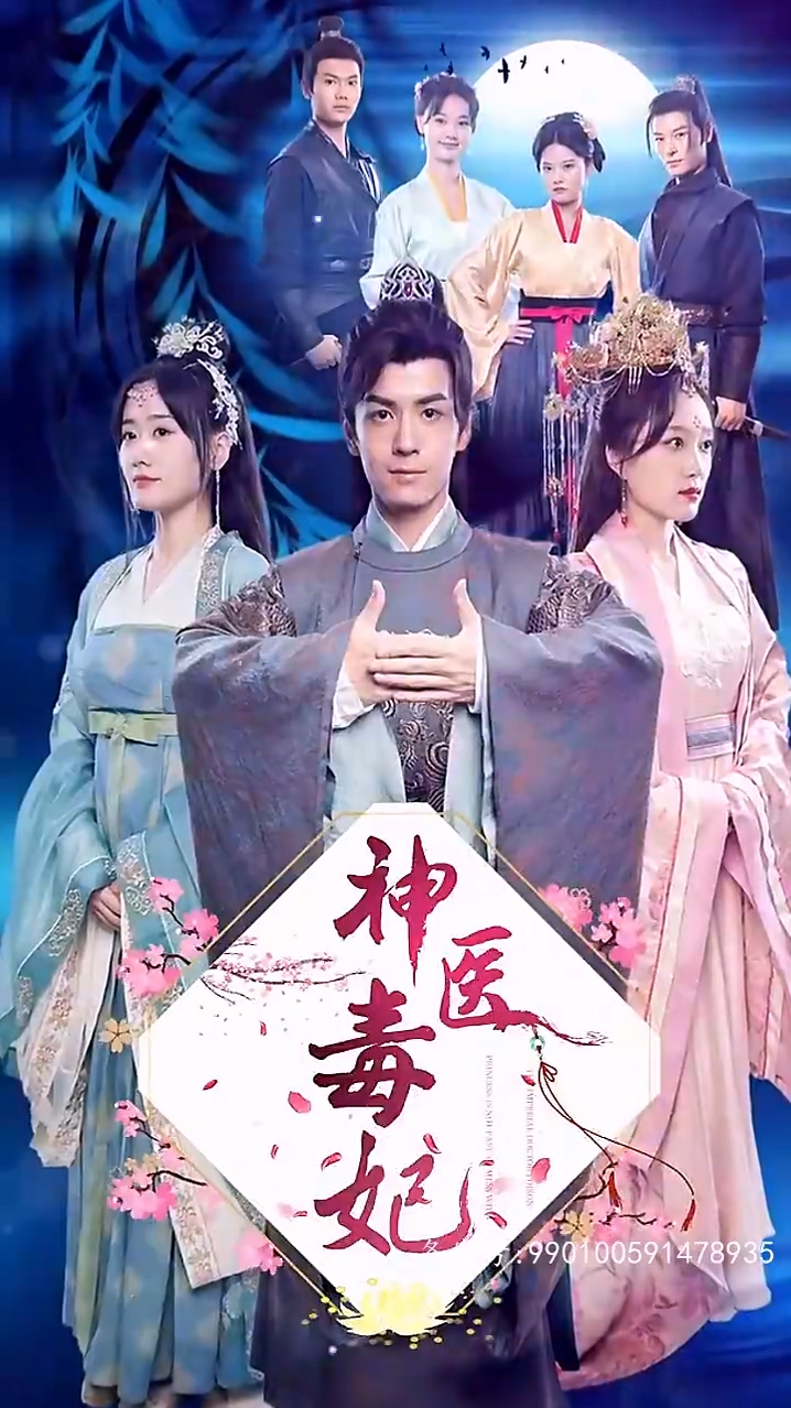 神医毒妃海报