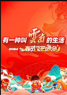 202云南省春节文艺晚会海报
