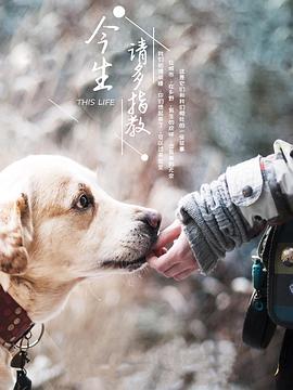 今生请多指教第三季海报