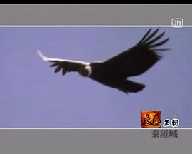 中国十大王朝海报