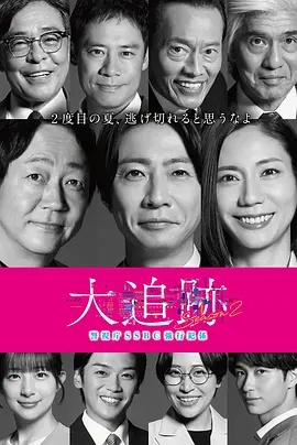 大追踪?警视厅SSBC强行犯系?第二季海报