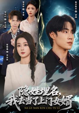 隐姓埋名，我去当了上门女婿海报