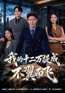我的十二万提成不翼而飞海报