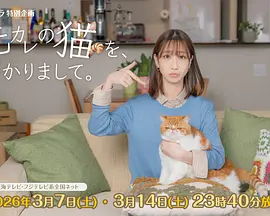 我收留了前男友的猫海报