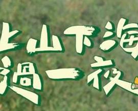 上山吧！台湾队海报