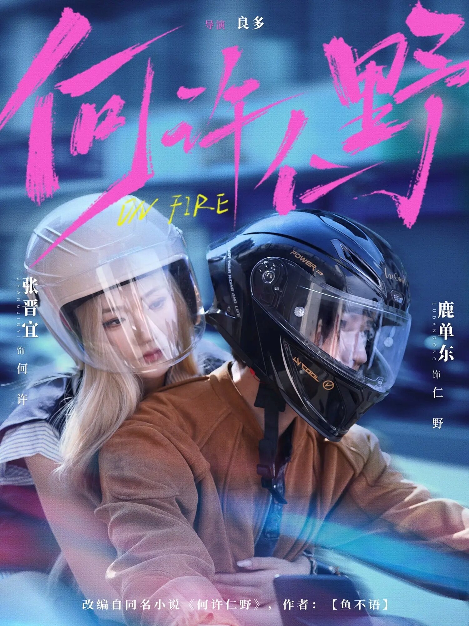 何许仁野海报