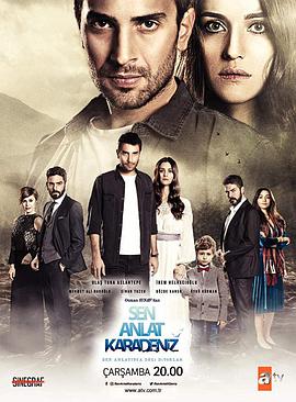 告诉我关于黑海的事第一季海报