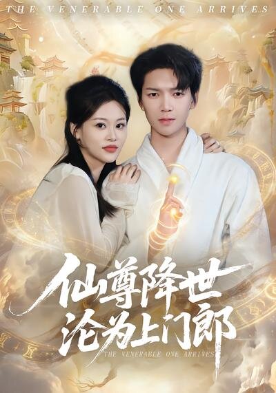 仙尊降世沦为上门郎海报
