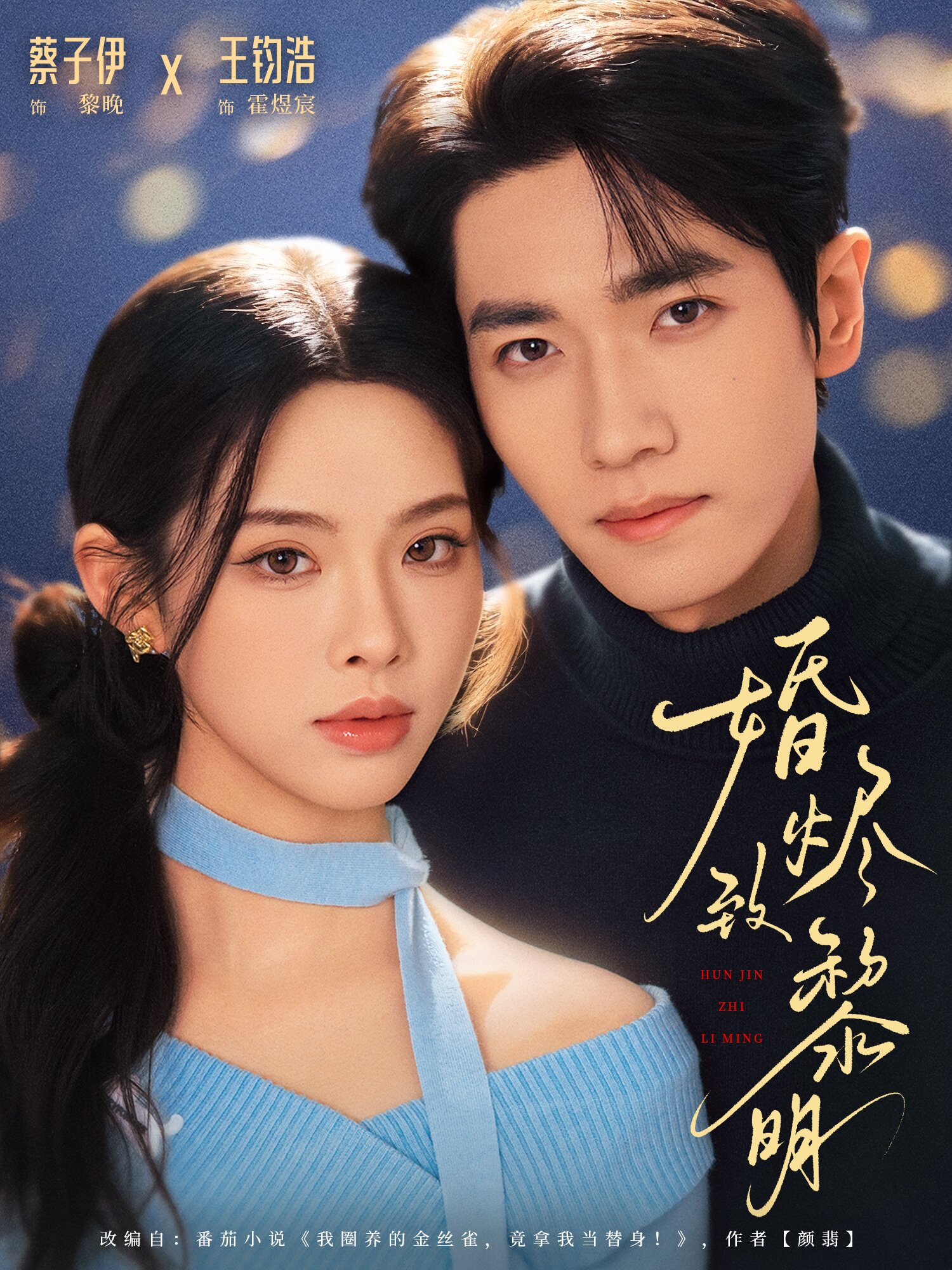 婚烬致黎明海报
