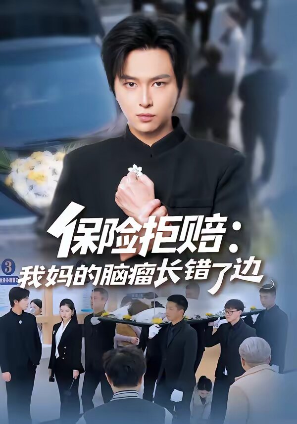 保险拒赔：我妈的脑瘤长错了边海报
