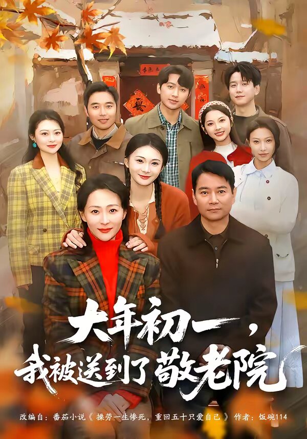 大年初一，我被送到了敬老院海报