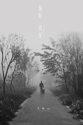 你好 再见海报