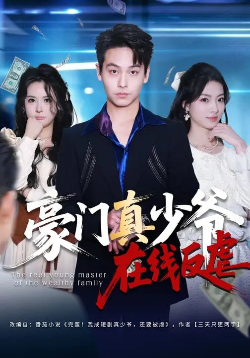 豪门真少爷在线反虐海报