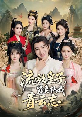 流放皇子，贤妻扶我青云志海报