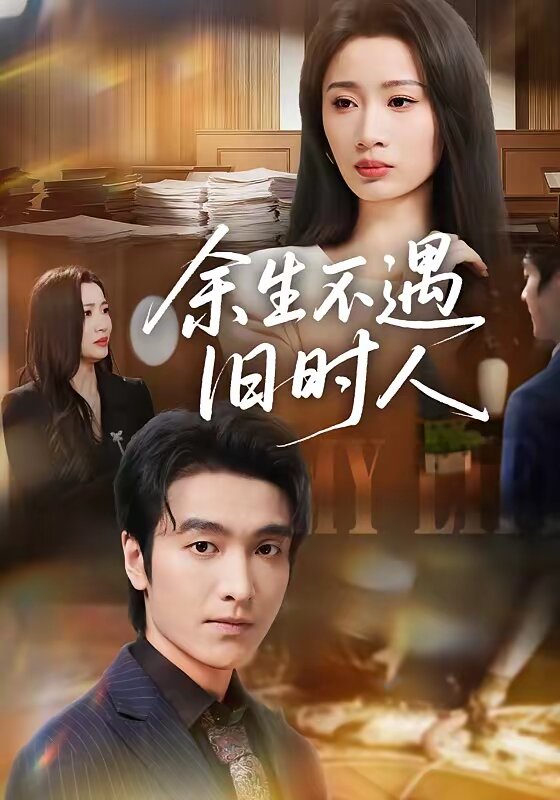 余生不遇旧时人海报