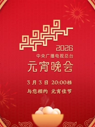 年中央广播电视总台元宵晚会海报