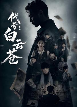 代号：白云苍海报
