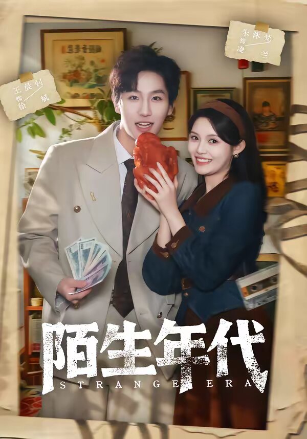 陌生年代海报