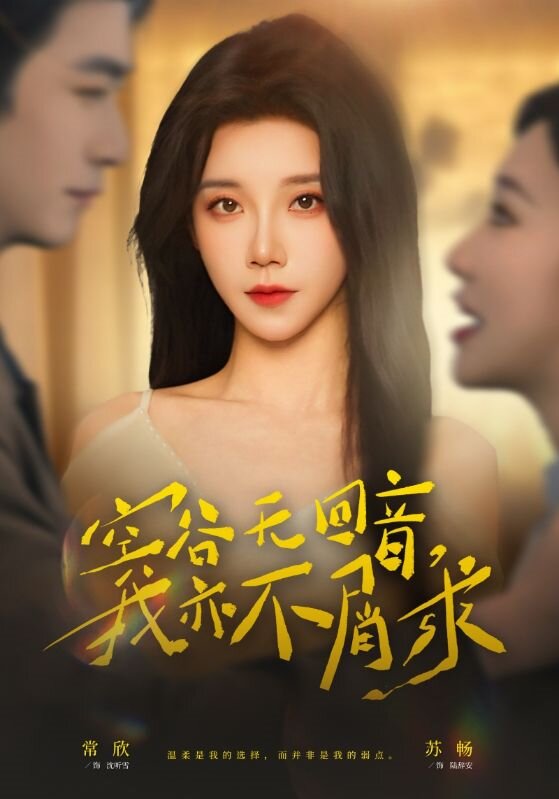 空谷无回音，我亦不屑求海报