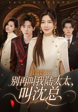 我离婚了！别再叫我陆太太，叫沈总海报