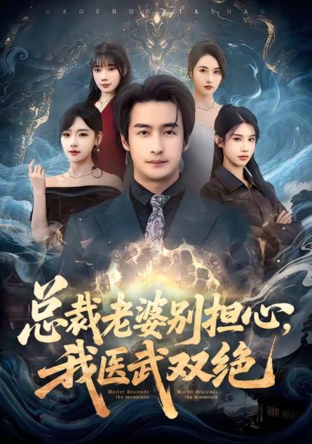 总裁老婆别担心，我医武双绝海报