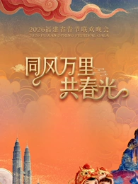 福建省春节联欢晚会海报