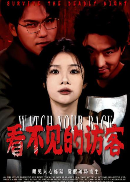 看不见的访客海报