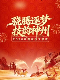 河南卫视中国杂技大联欢海报