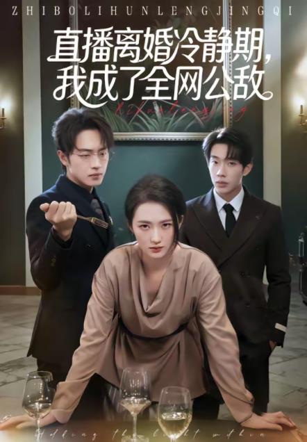 直播离婚冷静期，我成了全网公敌海报