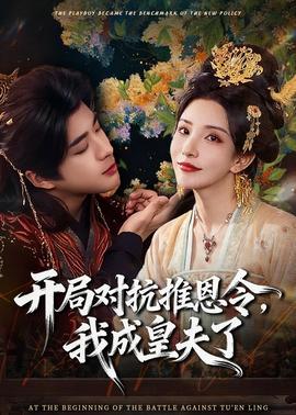开局对抗推恩令，我成皇夫了海报